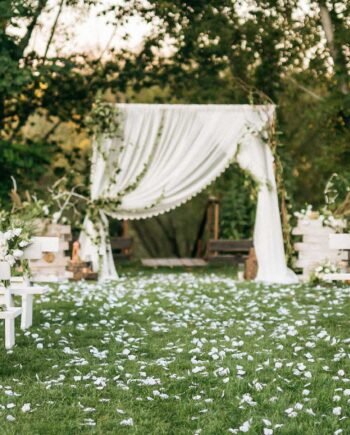Setup Service For Wedding Stage Backdrops And Lighting