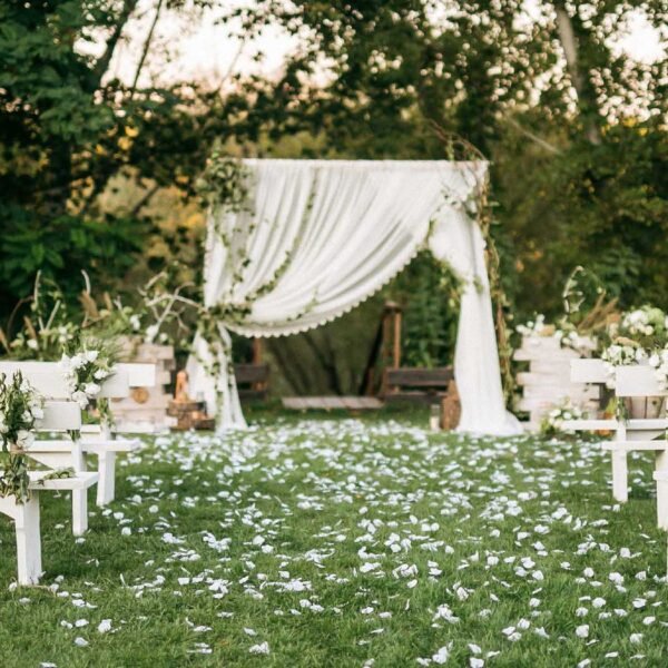 Setup Service For Wedding Stage Backdrops And Lighting